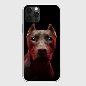 Чехол для iPhone 12 Pro Max с принтом Стафф в Петрозаводске, Силикон |  | Тематика изображения на принте: амстафф | голова | животные | мордочка | природа | собака | стафф | стаффордширский терьер