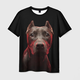 Мужская футболка 3D с принтом Стафф в Петрозаводске, 100% полиэфир | прямой крой, круглый вырез горловины, длина до линии бедер | амстафф | голова | животные | мордочка | природа | собака | стафф | стаффордширский терьер
