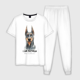 Мужская пижама хлопок с принтом Доберман в Петрозаводске, 100% хлопок | брюки и футболка прямого кроя, без карманов, на брюках мягкая резинка на поясе и по низу штанин
 | doberman | доберман | пинчер | собака | собаки