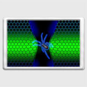 Магнит 45*70 с принтом Паук на ночной охоте в Петрозаводске, Пластик | Размер: 78*52 мм; Размер печати: 70*45 | Тематика изображения на принте: зеленая броня | зеленый неон | классный дизайн | ночь | паук | паук дизайн | паук на охоте | паук охотник | пчелиные | соты | темная футболка | футболка с пауком | черные соты