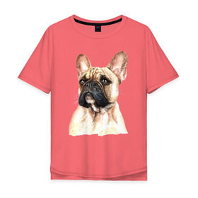 Мужская футболка хлопок Oversize с принтом Французский бульдог в Петрозаводске, 100% хлопок | свободный крой, круглый ворот, “спинка” длиннее передней части | bulldog | dog | бульдог | собака | собаки | французский бульдог