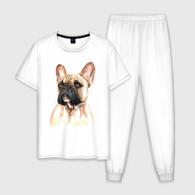 Мужская пижама хлопок с принтом Французский бульдог в Петрозаводске, 100% хлопок | брюки и футболка прямого кроя, без карманов, на брюках мягкая резинка на поясе и по низу штанин
 | Тематика изображения на принте: bulldog | dog | бульдог | собака | собаки | французский бульдог