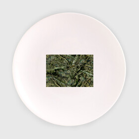 Тарелка с принтом Лесной камуфляж в Петрозаводске, фарфор | диаметр - 210 мм
диаметр для нанесения принта - 120 мм | Тематика изображения на принте: камуфляж | лесной камуфляж