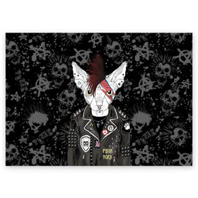Поздравительная открытка с принтом Кот в косухе в Петрозаводске, 100% бумага | плотность бумаги 280 г/м2, матовая, на обратной стороне линовка и место для марки
 | anarchy | breed | cat | clothes | cool | hairstyle | icon | jacket | kote | mohawk | muzzle | piercing | punk | riveting | rock | skull | sphinx | spikes | tattoo | анархия | значок | ирокез | к | клепки | кот | котик | котэ | круто | куртка | оде