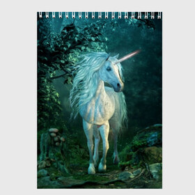 Скетчбук с принтом Единорог в Петрозаводске, 100% бумага
 | 48 листов, плотность листов — 100 г/м2, плотность картонной обложки — 250 г/м2. Листы скреплены сверху удобной пружинной спиралью | animal | beautiful | blue | fantasy | green | hooves | horn | horse | magi | mushrooms | nature | night | unicorn | white | белый | волшебство | грибы | грива | единорог | животное | зеленый | иллюстрация | копыта | лес | лошадь | мифология | но