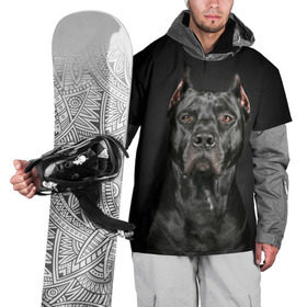 Накидка на куртку 3D с принтом Питбуль в Петрозаводске, 100% полиэстер |  | animal | black | breed | bull | combat | dog | ears | eyes | image | muzzle | nose | pit bull | portrait | боевой | бугай | глаза | животное | изображение | нос | пес | питбуль | порода | портрет | псина | собака | уши | черный