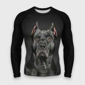 Мужской рашгард 3D с принтом Питбуль в Петрозаводске,  |  | animal | black | breed | bull | combat | dog | ears | eyes | image | muzzle | nose | pit bull | portrait | боевой | бугай | глаза | животное | изображение | нос | пес | питбуль | порода | портрет | псина | собака | уши | черный