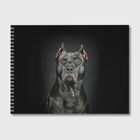 Альбом для рисования с принтом Питбуль в Петрозаводске, 100% бумага
 | матовая бумага, плотность 200 мг. | animal | black | breed | bull | combat | dog | ears | eyes | image | muzzle | nose | pit bull | portrait | боевой | бугай | глаза | животное | изображение | нос | пес | питбуль | порода | портрет | псина | собака | уши | черный