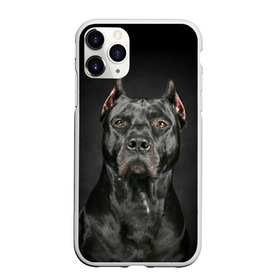 Чехол для iPhone 11 Pro матовый с принтом Питбуль в Петрозаводске, Силикон |  | animal | black | breed | bull | combat | dog | ears | eyes | image | muzzle | nose | pit bull | portrait | боевой | бугай | глаза | животное | изображение | нос | пес | питбуль | порода | портрет | псина | собака | уши | черный