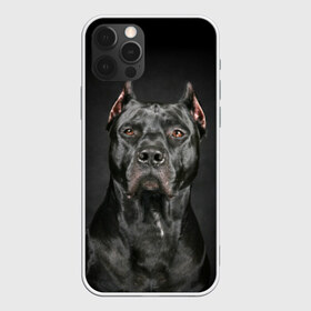 Чехол для iPhone 12 Pro Max с принтом Питбуль в Петрозаводске, Силикон |  | animal | black | breed | bull | combat | dog | ears | eyes | image | muzzle | nose | pit bull | portrait | боевой | бугай | глаза | животное | изображение | нос | пес | питбуль | порода | портрет | псина | собака | уши | черный