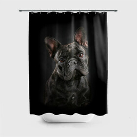 Штора 3D для ванной с принтом Французский бульдог в Петрозаводске, 100% полиэстер | плотность материала — 100 г/м2. Стандартный размер — 146 см х 180 см. По верхнему краю — пластиковые люверсы для креплений. В комплекте 10 пластиковых колец | animal | background | beast | black | breed | bulldog | cool | cute | dog | ears | french | jaw | look | muzzle | portrait | wool | бульдог | взгляд | животное | зверь | милый | пёс | порода | портрет | прикольно | псина | собака | уши | фон | фра
