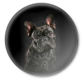 Значок с принтом Французский бульдог в Петрозаводске,  металл | круглая форма, металлическая застежка в виде булавки | Тематика изображения на принте: animal | background | beast | black | breed | bulldog | cool | cute | dog | ears | french | jaw | look | muzzle | portrait | wool | бульдог | взгляд | животное | зверь | милый | пёс | порода | портрет | прикольно | псина | собака | уши | фон | фра