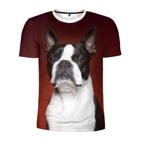Мужская футболка 3D спортивная с принтом Французский бульдог в Петрозаводске, 100% полиэстер с улучшенными характеристиками | приталенный силуэт, круглая горловина, широкие плечи, сужается к линии бедра | animal | background | beast | black | breed | bulldog | color | cool | cute | dog | e | jaw | look | muzzle | portrait | red | white | белый | бульдог | взгляд | животное | зверь | красный | милый | пёс | порода | портрет | прикольно | псина | соб