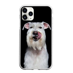 Чехол для iPhone 11 Pro матовый с принтом Белый шнауцер в Петрозаводске, Силикон |  | animal | background | beast | black | breed | cool | cute | dog | ears | fangs | jaw | look | muzzle | portrait | tongue | white | wool | белый | взгляд | животное | зверь | клыки | милый | пёс | порода | портрет | прикольно | псина | собака | уши
