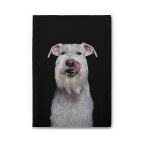 Обложка для автодокументов с принтом Белый шнауцер в Петрозаводске, натуральная кожа |  размер 19,9*13 см; внутри 4 больших “конверта” для документов и один маленький отдел — туда идеально встанут права | Тематика изображения на принте: animal | background | beast | black | breed | cool | cute | dog | ears | fangs | jaw | look | muzzle | portrait | tongue | white | wool | белый | взгляд | животное | зверь | клыки | милый | пёс | порода | портрет | прикольно | псина | собака | уши