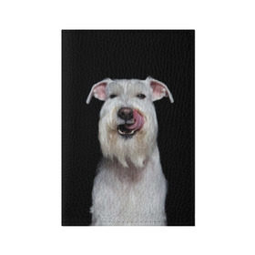 Обложка для паспорта матовая кожа с принтом Белый шнауцер в Петрозаводске, натуральная матовая кожа | размер 19,3 х 13,7 см; прозрачные пластиковые крепления | animal | background | beast | black | breed | cool | cute | dog | ears | fangs | jaw | look | muzzle | portrait | tongue | white | wool | белый | взгляд | животное | зверь | клыки | милый | пёс | порода | портрет | прикольно | псина | собака | уши