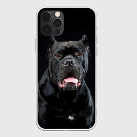 Чехол для iPhone 12 Pro Max с принтом Черный кан - корсо в Петрозаводске, Силикон |  | animal | background | beast | black | breed | can   corso | cool | cute | dog | ears | fangs | jaw | look | muzzle | portrait | tongue | wool | взгляд | животное | зверь | кан   корсо | клыки | милый | пёс | порода | портрет | прикольно | псина | 