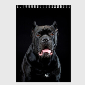 Скетчбук с принтом Черный кан - корсо в Петрозаводске, 100% бумага
 | 48 листов, плотность листов — 100 г/м2, плотность картонной обложки — 250 г/м2. Листы скреплены сверху удобной пружинной спиралью | animal | background | beast | black | breed | can   corso | cool | cute | dog | ears | fangs | jaw | look | muzzle | portrait | tongue | wool | взгляд | животное | зверь | кан   корсо | клыки | милый | пёс | порода | портрет | прикольно | псина | 
