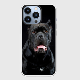 Чехол для iPhone 13 Pro с принтом Черный кан   корсо в Петрозаводске,  |  | Тематика изображения на принте: animal | background | beast | black | breed | can   corso | cool | cute | dog | ears | fangs | jaw | look | muzzle | portrait | tongue | wool | взгляд | животное | зверь | кан   корсо | клыки | милый | пёс | порода | портрет | прикольно | псина | 