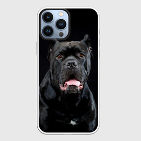 Чехол для iPhone 13 Pro Max с принтом Черный кан   корсо в Петрозаводске,  |  | animal | background | beast | black | breed | can   corso | cool | cute | dog | ears | fangs | jaw | look | muzzle | portrait | tongue | wool | взгляд | животное | зверь | кан   корсо | клыки | милый | пёс | порода | портрет | прикольно | псина | 