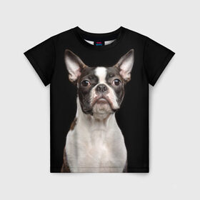 Детская футболка 3D с принтом Бостонский терьер в Петрозаводске, 100% гипоаллергенный полиэфир | прямой крой, круглый вырез горловины, длина до линии бедер, чуть спущенное плечо, ткань немного тянется | Тематика изображения на принте: animal | background | beast | black | boston | breed | color | cool | cute | dog | ears | jaw | look | muzzle | pet | portrait | terrier | white | wool | белый | бостон | взгляд | животное | зверь | милый | пёс | питомец | порода | портрет | прико