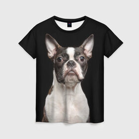 Женская футболка 3D с принтом Бостонский терьер в Петрозаводске, 100% полиэфир ( синтетическое хлопкоподобное полотно) | прямой крой, круглый вырез горловины, длина до линии бедер | animal | background | beast | black | boston | breed | color | cool | cute | dog | ears | jaw | look | muzzle | pet | portrait | terrier | white | wool | белый | бостон | взгляд | животное | зверь | милый | пёс | питомец | порода | портрет | прико