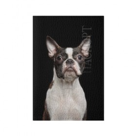 Обложка для паспорта матовая кожа с принтом Бостонский терьер в Петрозаводске, натуральная матовая кожа | размер 19,3 х 13,7 см; прозрачные пластиковые крепления | animal | background | beast | black | boston | breed | color | cool | cute | dog | ears | jaw | look | muzzle | pet | portrait | terrier | white | wool | белый | бостон | взгляд | животное | зверь | милый | пёс | питомец | порода | портрет | прико