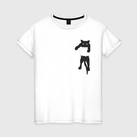 Женская футболка хлопок с принтом Кися в кармане в Петрозаводске, 100% хлопок | прямой крой, круглый вырез горловины, длина до линии бедер, слегка спущенное плечо | cat | арт | животные | карман | кися | кот | кот в кармане | котенок | коты | кошка