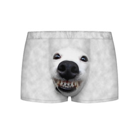 Мужские трусы 3D с принтом Собака - улыбака в Петрозаводске, 50% хлопок, 50% полиэстер | классическая посадка, на поясе мягкая тканевая резинка | животные | зубы | мордочка | пес | прикол | смешная | собака | улыбака | улыбка | щенок | юмор