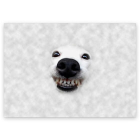 Поздравительная открытка с принтом Собака - улыбака в Петрозаводске, 100% бумага | плотность бумаги 280 г/м2, матовая, на обратной стороне линовка и место для марки
 | животные | зубы | мордочка | пес | прикол | смешная | собака | улыбака | улыбка | щенок | юмор