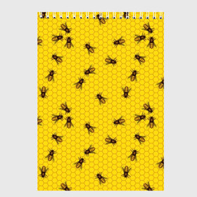 Скетчбук с принтом Пчелы в сотах в Петрозаводске, 100% бумага
 | 48 листов, плотность листов — 100 г/м2, плотность картонной обложки — 250 г/м2. Листы скреплены сверху удобной пружинной спиралью | bee | beehive | brown | bug | honey | honeycomb | insect | toiler | yellow | букашка | желтый | коричневый | мёд | насекомое | пчела | соты | труженик | улей