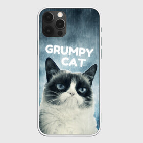 Чехол для iPhone 12 Pro Max с принтом Grumpy Cat в Петрозаводске, Силикон |  | кот | котики | коты | мем | мемы | сердитый кот