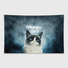 Флаг-баннер с принтом Grumpy Cat в Петрозаводске, 100% полиэстер | размер 67 х 109 см, плотность ткани — 95 г/м2; по краям флага есть четыре люверса для крепления | кот | котики | коты | мем | мемы | сердитый кот