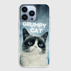 Чехол для iPhone 13 Pro с принтом Grumpy Cat в Петрозаводске,  |  | Тематика изображения на принте: кот | котики | коты | мем | мемы | сердитый кот