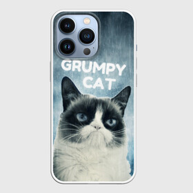 Чехол для iPhone 13 Pro с принтом Grumpy Cat в Петрозаводске,  |  | кот | котики | коты | мем | мемы | сердитый кот