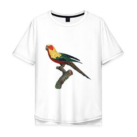 Мужская футболка хлопок Oversize с принтом Попугай. Аратинга. в Петрозаводске, 100% хлопок | свободный крой, круглый ворот, “спинка” длиннее передней части | аратинга | бразилия | зоозащита | попугаи | попугайчики | природа | птица | птицы | солнечный