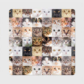 Магнит виниловый Квадрат с принтом Кошачий коллаж в Петрозаводске, полимерный материал с магнитным слоем | размер 9*9 см, закругленные углы | breed | cat | cats | collage | eyes | fluffy | funny | kitten | look | meow | mustache | muzzle | photo | squares | взгляд | глаза | квадраты | коллаж | кот | котёнок | котики | кошка | мяу | порода | прикольный | пушистый | усы | фото
