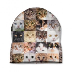 Шапка 3D с принтом Кошачий коллаж в Петрозаводске, 100% полиэстер | универсальный размер, печать по всей поверхности изделия | breed | cat | cats | collage | eyes | fluffy | funny | kitten | look | meow | mustache | muzzle | photo | squares | взгляд | глаза | квадраты | коллаж | кот | котёнок | котики | кошка | мяу | порода | прикольный | пушистый | усы | фото