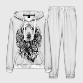 Мужской костюм 3D с принтом Кокер спаниель в Петрозаводске, 100% полиэстер | Манжеты и пояс оформлены тканевой резинкой, двухслойный капюшон со шнурком для регулировки, карманы спереди | animal | black | breed | cocker spaniel | cool | dog | eyes | interesting | look | muzzle | white | wool | белый | взгляд | глаза | животное | интересный | кокер спаниель | пёс | порода | прикольный | псина | собака | собакен | черный | шерсть