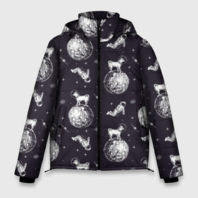Мужская зимняя куртка 3D с принтом Собаки - астронавты в Петрозаводске, верх — 100% полиэстер; подкладка — 100% полиэстер; утеплитель — 100% полиэстер | длина ниже бедра, свободный силуэт Оверсайз. Есть воротник-стойка, отстегивающийся капюшон и ветрозащитная планка. 

Боковые карманы с листочкой на кнопках и внутренний карман на молнии. | astronaut | black | breed | chihuahua | dog | flight | galaxy | helmet | planet | space | spacesuit | white | астронавт | белый | галактика | космос | пёс | планета | полёт | порода | скафандр | собака | черный | чихуахуа | шлем