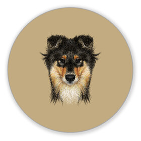 Коврик для мышки круглый с принтом Sheltie в Петрозаводске, резина и полиэстер | круглая форма, изображение наносится на всю лицевую часть | animal | black | breed | brown | cute | dog | drawing | eyes | kind | look | muzzle | portrait | red | взгляд | глаза | добрый | животное | коричневый | милый | пёс | порода | портрет | рисунок | рыжий | собака | черный | шелти