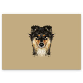 Поздравительная открытка с принтом Sheltie в Петрозаводске, 100% бумага | плотность бумаги 280 г/м2, матовая, на обратной стороне линовка и место для марки
 | Тематика изображения на принте: animal | black | breed | brown | cute | dog | drawing | eyes | kind | look | muzzle | portrait | red | взгляд | глаза | добрый | животное | коричневый | милый | пёс | порода | портрет | рисунок | рыжий | собака | черный | шелти