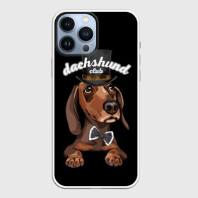 Чехол для iPhone 13 Pro Max с принтом Такса в цилиндре в Петрозаводске,  |  | animal | black | bowtie | breed | brown | cool | cylinder | dachshund | dog | gentleman | muzzle | white | белый | галстук  бабочка | джентльмен | животное | коричневый | порода | прикольный | собака | такса | цилиндр | черный