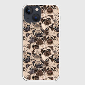 Чехол для iPhone 13 mini с принтом Мопсы в Петрозаводске,  |  | animal | attractive face | breed | cute | dog | eyes | funny | look | pug | puppy | взгляд | глаза | животное | забавный | милый | мопс | порода | собака | щенок