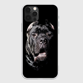 Чехол для iPhone 12 Pro Max с принтом Мастиф в Петрозаводске, Силикон |  | animal | black | collar | dog | friend | look | man | muzzle | взгляд | друг | животное | мастиф | ошейник | пёс | собака | человека | черный