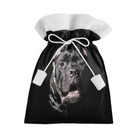Подарочный 3D мешок с принтом Мастиф в Петрозаводске, 100% полиэстер | Размер: 29*39 см | Тематика изображения на принте: animal | black | collar | dog | friend | look | man | muzzle | взгляд | друг | животное | мастиф | ошейник | пёс | собака | человека | черный