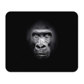 Коврик для мышки прямоугольный с принтом Горилла в Петрозаводске, натуральный каучук | размер 230 х 185 мм; запечатка лицевой стороны | Тематика изображения на принте: animal | black | eyes | fauna | gorilla | gray | look | monkey | muzzle | primate | взгляд | глаза | горилла | животное | обезьяна | примат | серый | фауна | черный