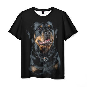 Мужская футболка 3D с принтом Ротвейлер в Петрозаводске, 100% полиэфир | прямой крой, круглый вырез горловины, длина до линии бедер | animal | black | breed | collar | dog | friend | glance | gloss | man | muzzle | rottweiler | взгляд | друг | животное | лоск | ошейник | пёс | порода | ротвейлер | собака | человека | черный