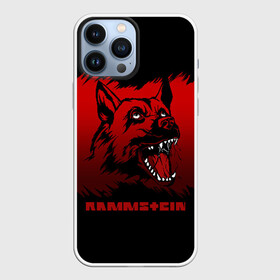 Чехол для iPhone 13 Pro Max с принтом Rammstein dog в Петрозаводске,  |  | Тематика изображения на принте: 2019 | dog | du hast | german | lindemann | rammstein | rammsteinfan | ramstein | till | группы | линдеманн | метал | музыка | овчарка | рамштаин | рамштайн | рамштейн | рок | собака | тилль | тиль