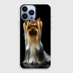 Чехол для iPhone 13 Pro Max с принтом Йоркширский терьер в Петрозаводске,  |  | animal | barrette | breed | cute | dog | funny | muzzle | small | terrier | yorkshire | животное | забавный | заколка | йоркширский | маленький | милый | порода | смешной | собака | терьер